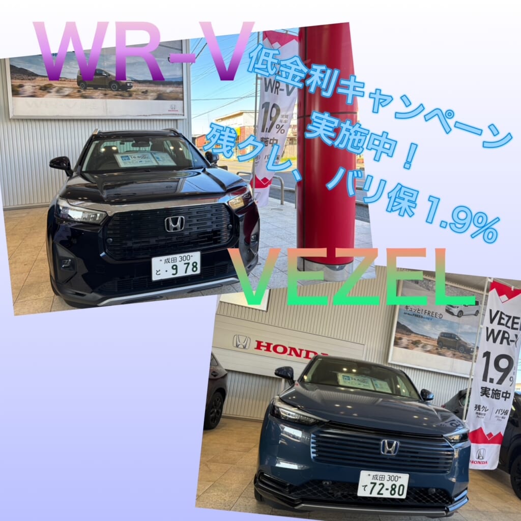 低金利キャンペーン実施中！