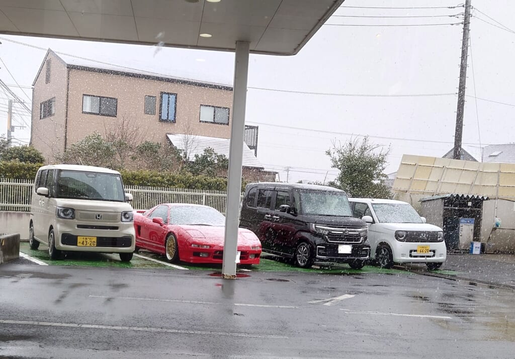 凄かったですね、雪❄️