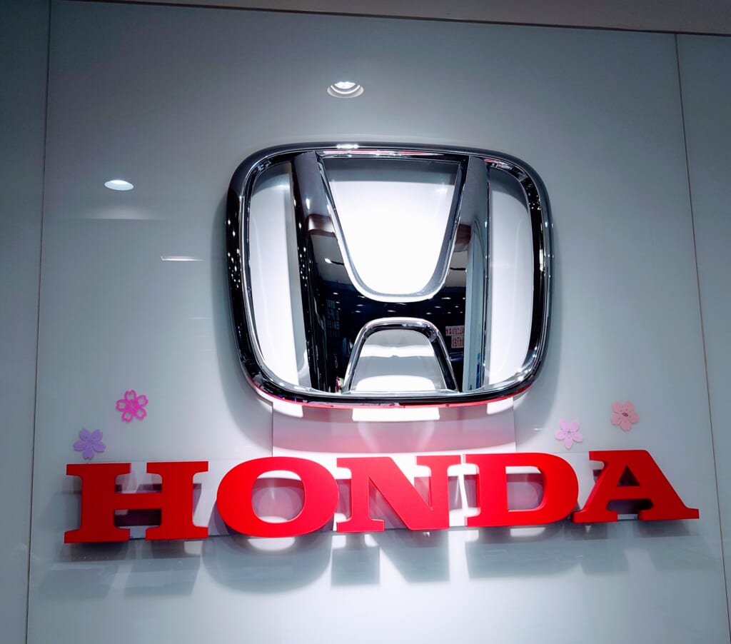 春らしさ出ていますか？🤭🌸