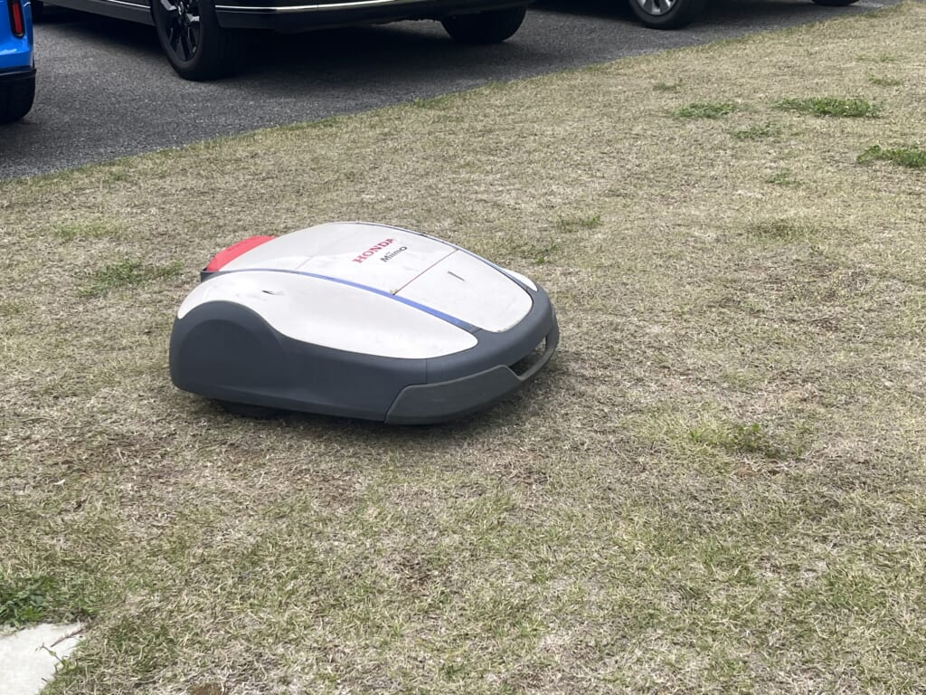 【匝瑳店】速報‼️冬眠明けしました