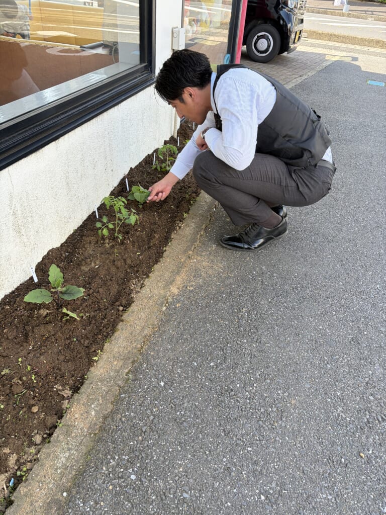 夏野菜🍆🥒🍅