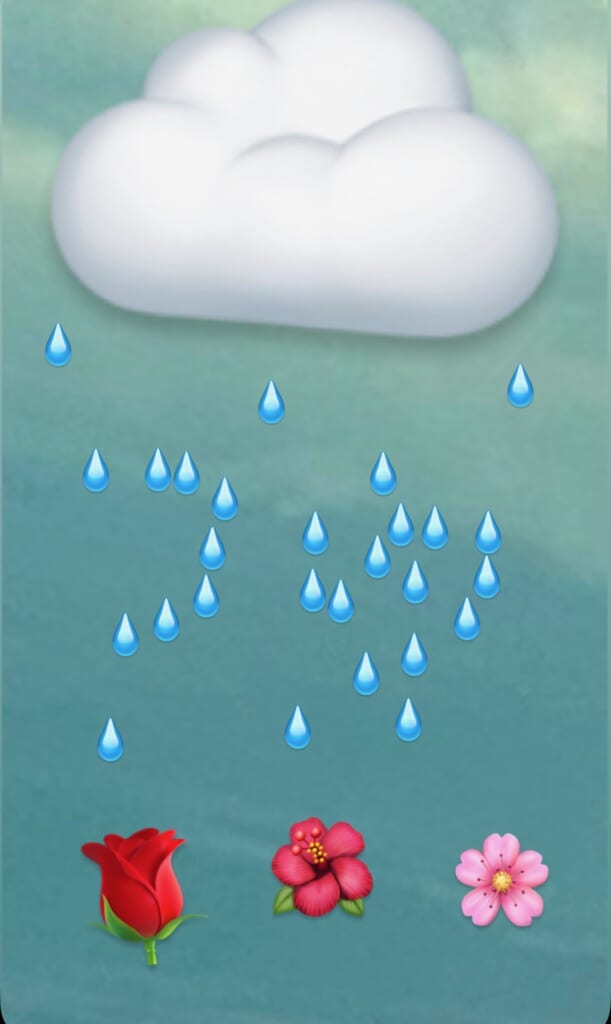 梅雨に向けて準備💧