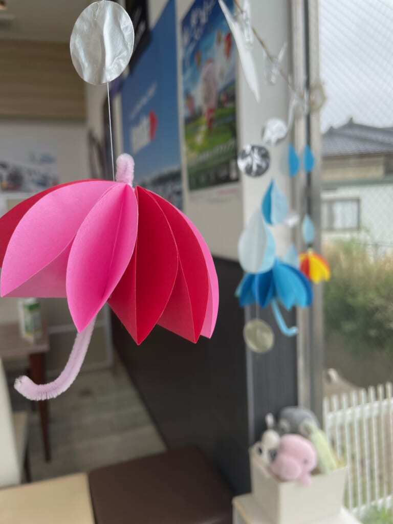 梅雨先取り💧