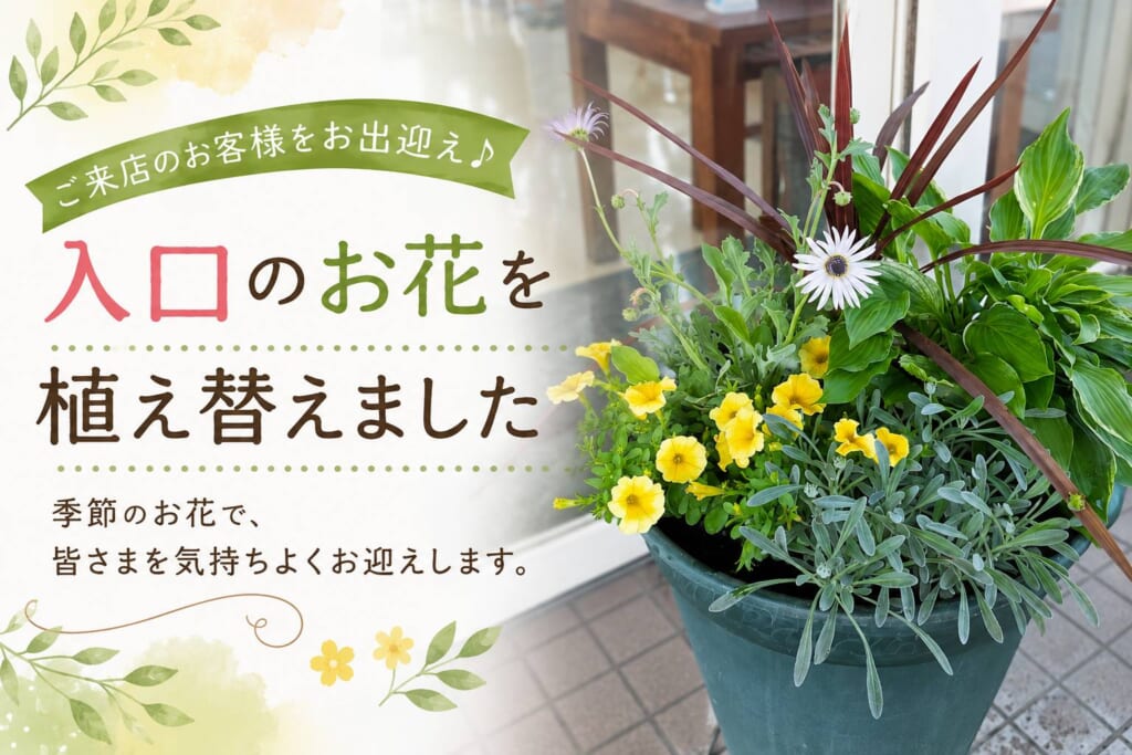 ご来店のお客様をお出迎え♪入口のお花を植え替えました🏵️